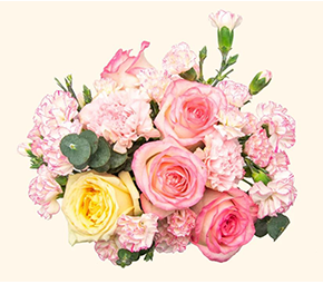 祝福任期满28年的1号员工罗翠烦女士快乐荣休